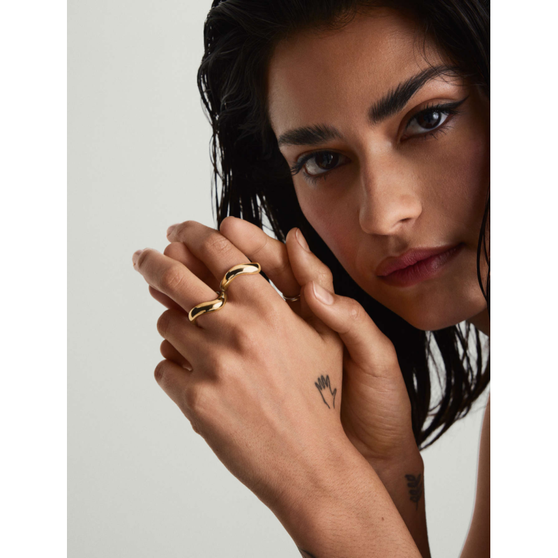 Cópia de Cópia de Anel aurora H